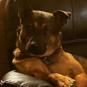 Meet your Posher, Cory